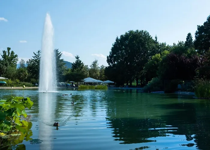 Plattenwirt Hotel 4*